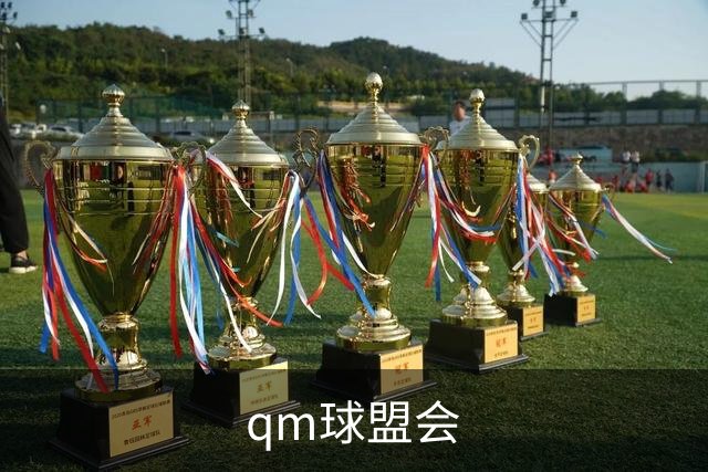 qm球盟会公司介绍图